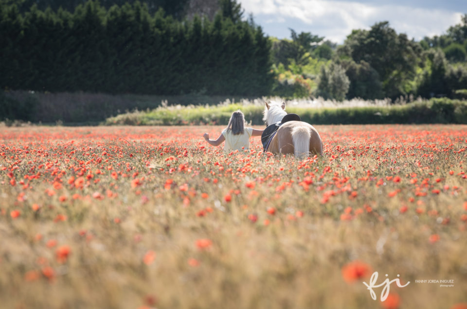 Jeune femme et cheval dans les blés