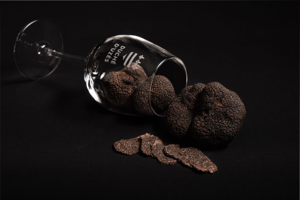 Verre de vin et truffes noires